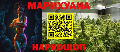 гашик Гусев