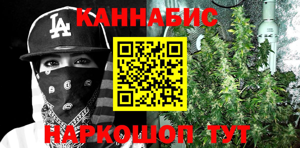Бошки Шишки гибрид Новочеркасск